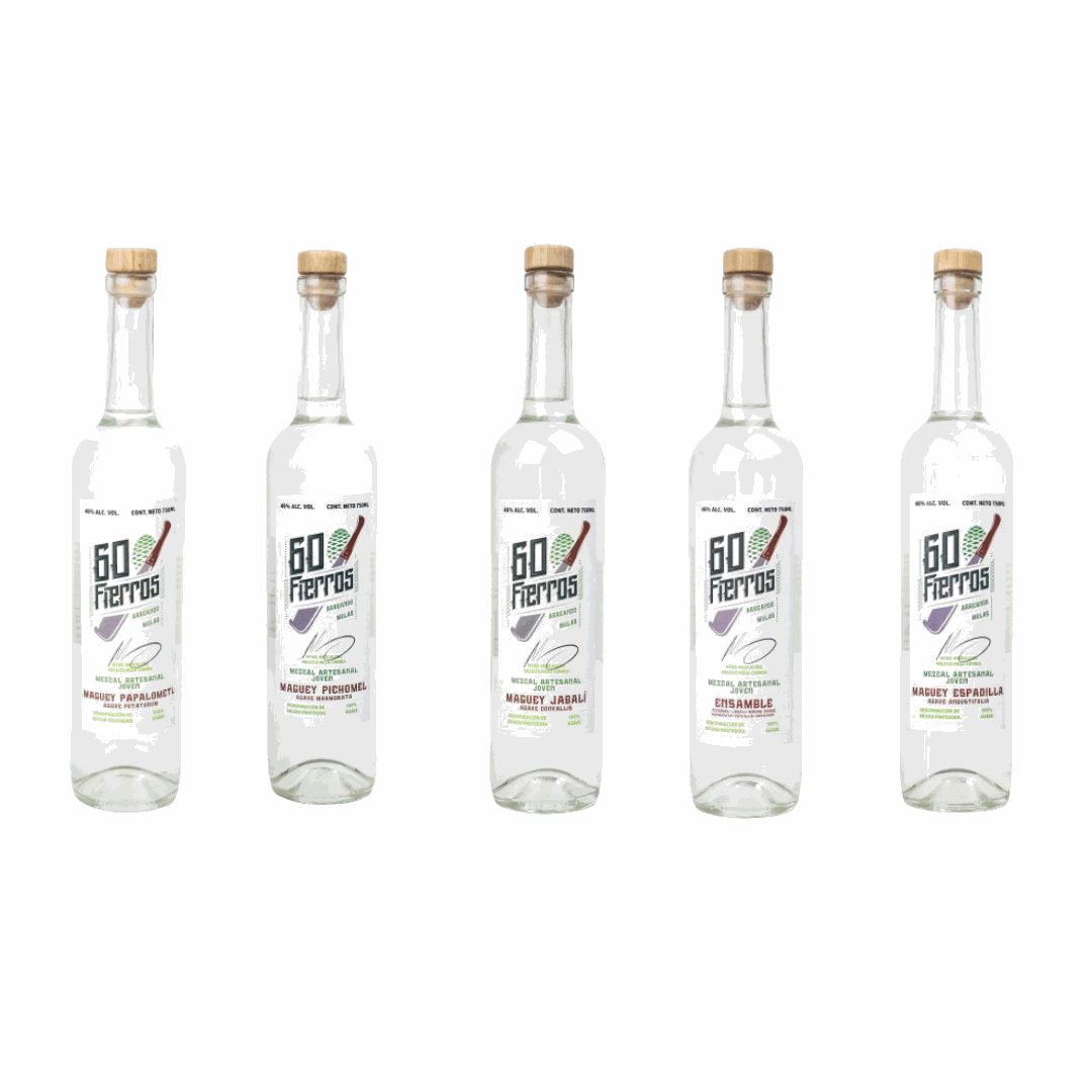 variedades de agave